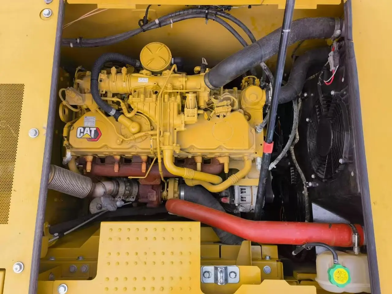 Cat323 - 5