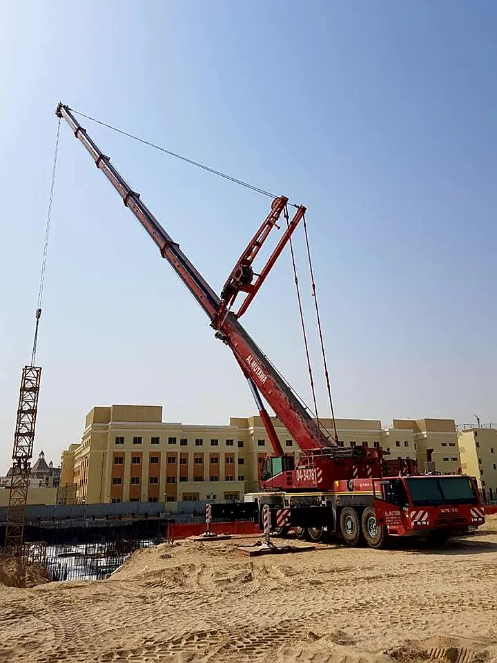 250 ton to 350 ton Cranes available on rental - 3