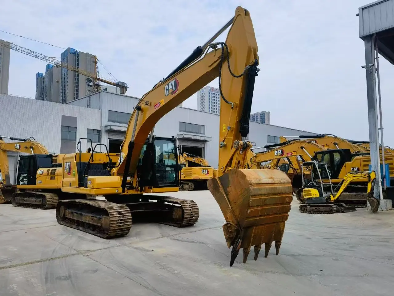 Cat323 - 2