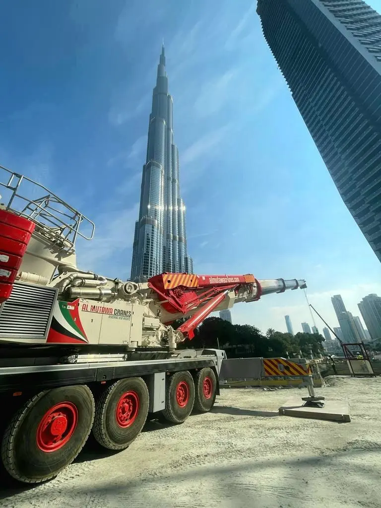 250 ton to 350 ton Cranes available on rental - 4