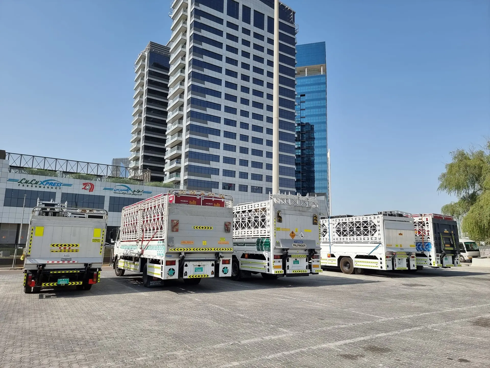 Trucks 3 ton, 7 ton, 10 ton, 18 ton - 2