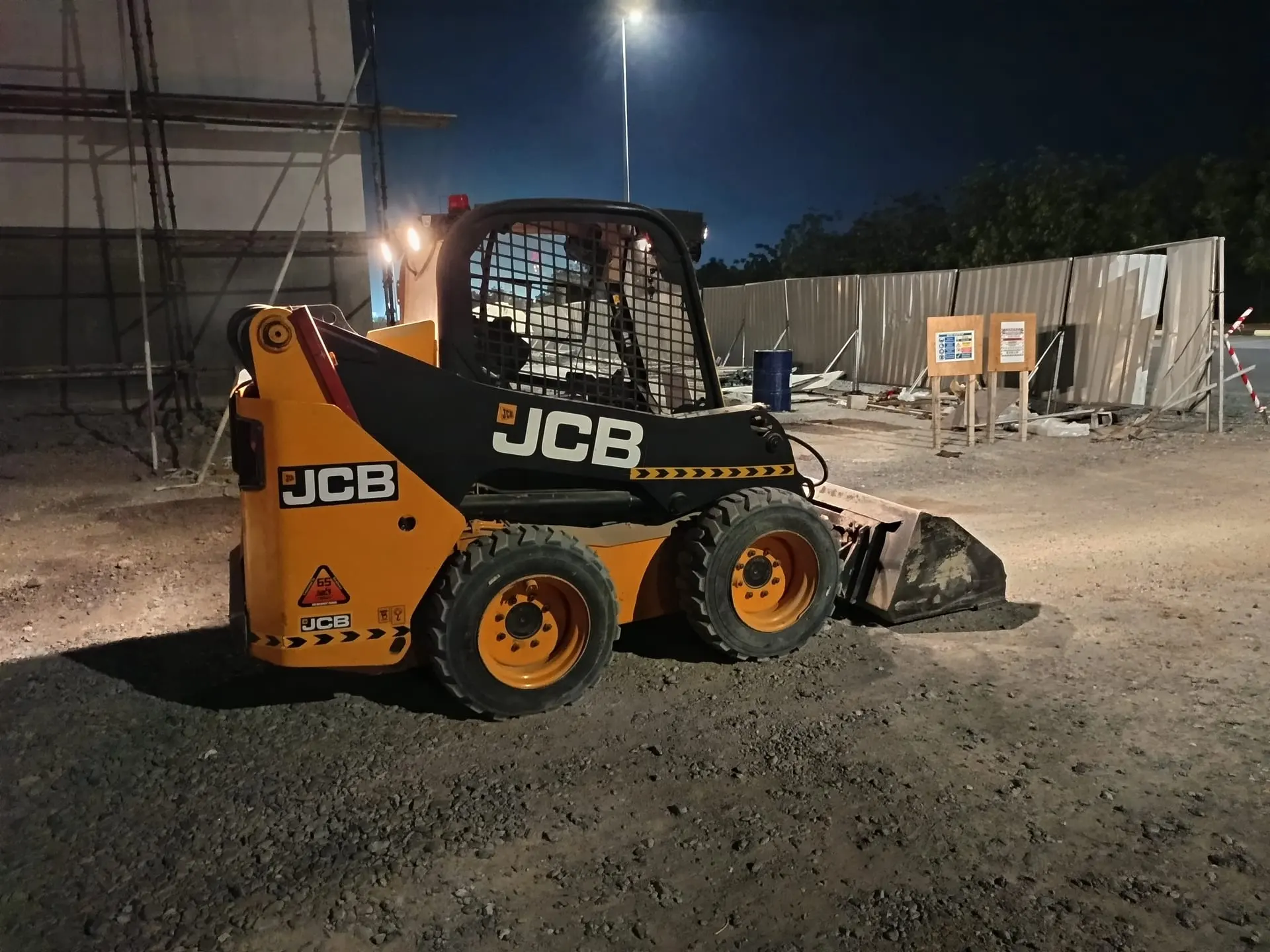 Bobcat