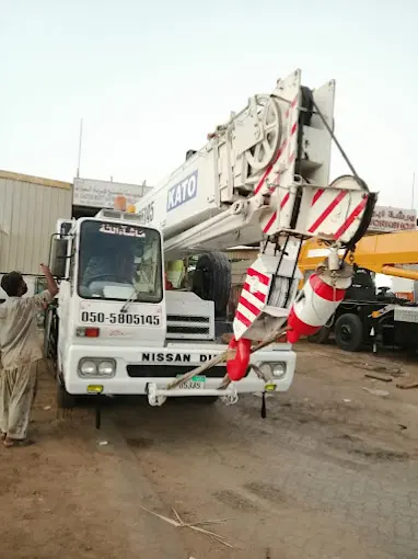 Crane 50 TON TO 300 TON available for hire - 3