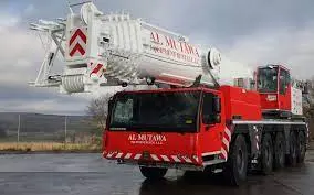 Mobile cranes Available on rental basis - 3