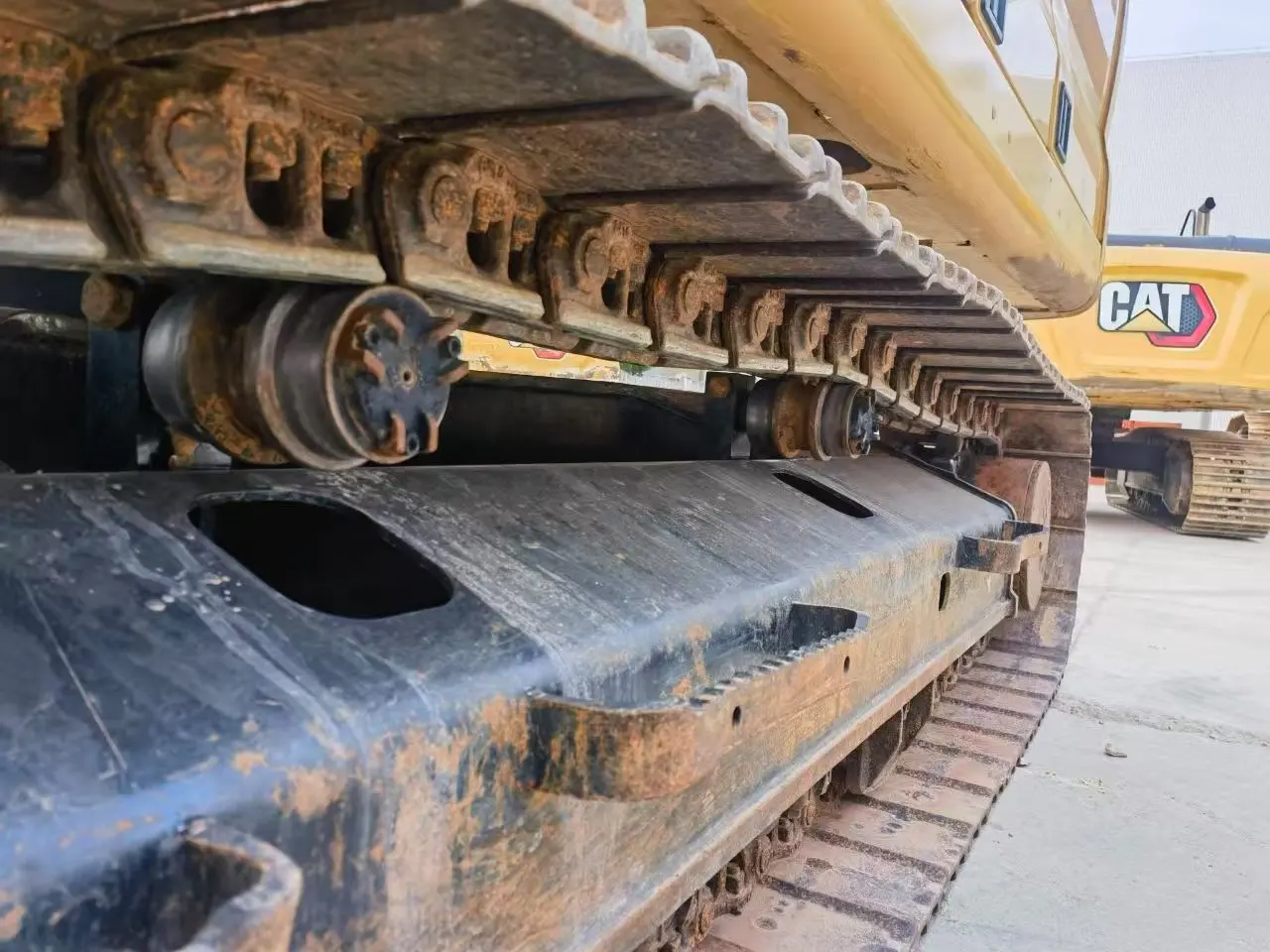 Cat323 - 3
